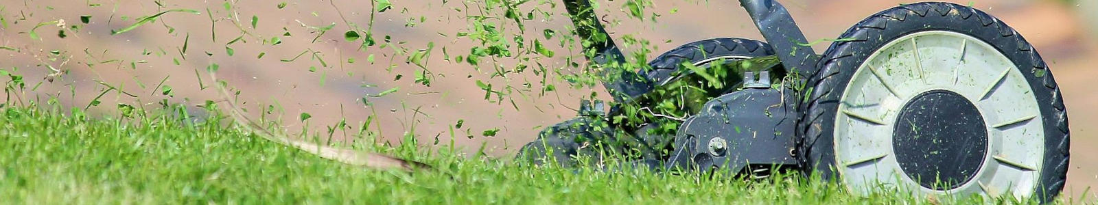 r�czna kosiarka, kosiarka r�czna, trawa, skoszona trawa, kosiarka do pchania