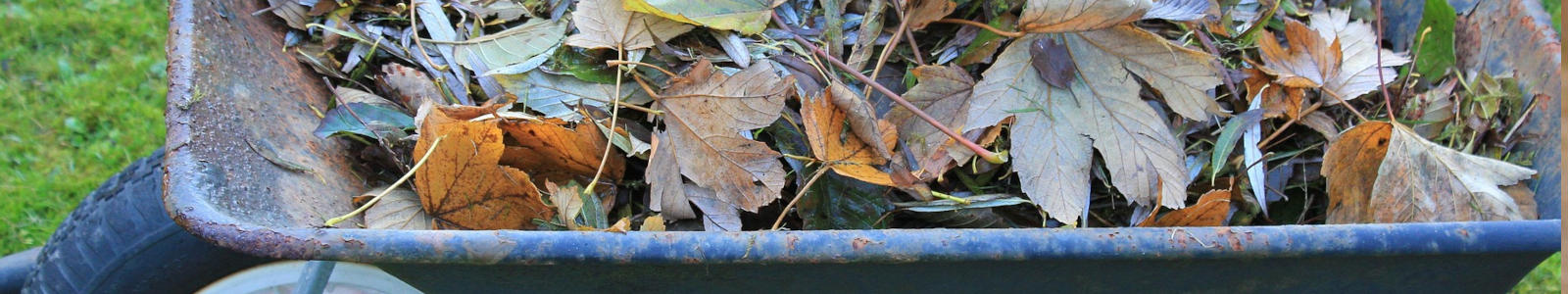 jesienne li�cie, li�cie na taczkach, li�cie na taczce, zgrabione li�cie