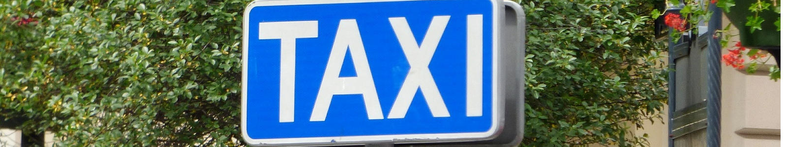 znak drogowy taxi, taxi znak, post�j taks�wek niepo�omice